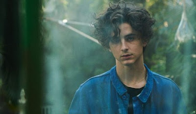 Timothée Chalamet