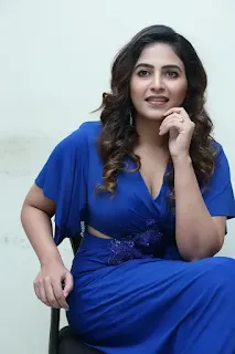 Anjali at Game Changer press meet in a stunning look