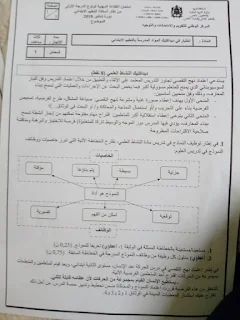 الامتحان المهني لولوج الدرجة الأولى - التعليم الابتدائي - دورة شتنبر 2018 جميع المواد