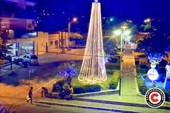 _DSC0228
