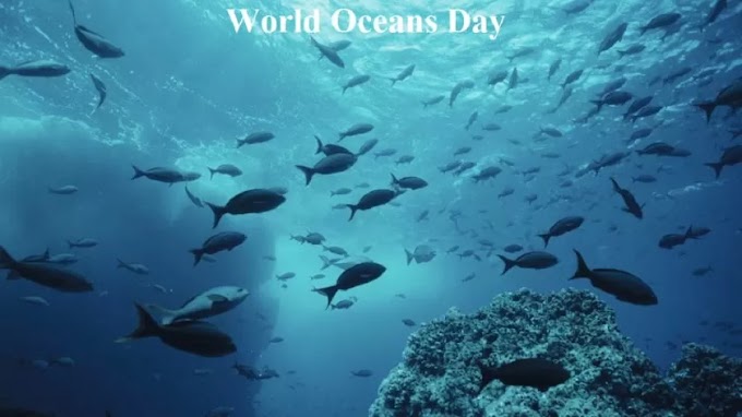 World Oceans Day 2023: Quotes, Wishes, Messages, Significance, Slogans, Poems, and more