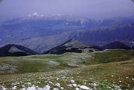 Riserva naturale Monte Genzana - Alto Gizio