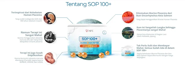 Tentang SOP 100+