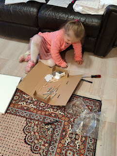 Rosie helping me with the flat pack