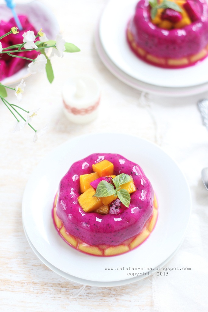  PUDING  BUAH  NAGA  MANGGA  Catatan Nina Aneka Resep  