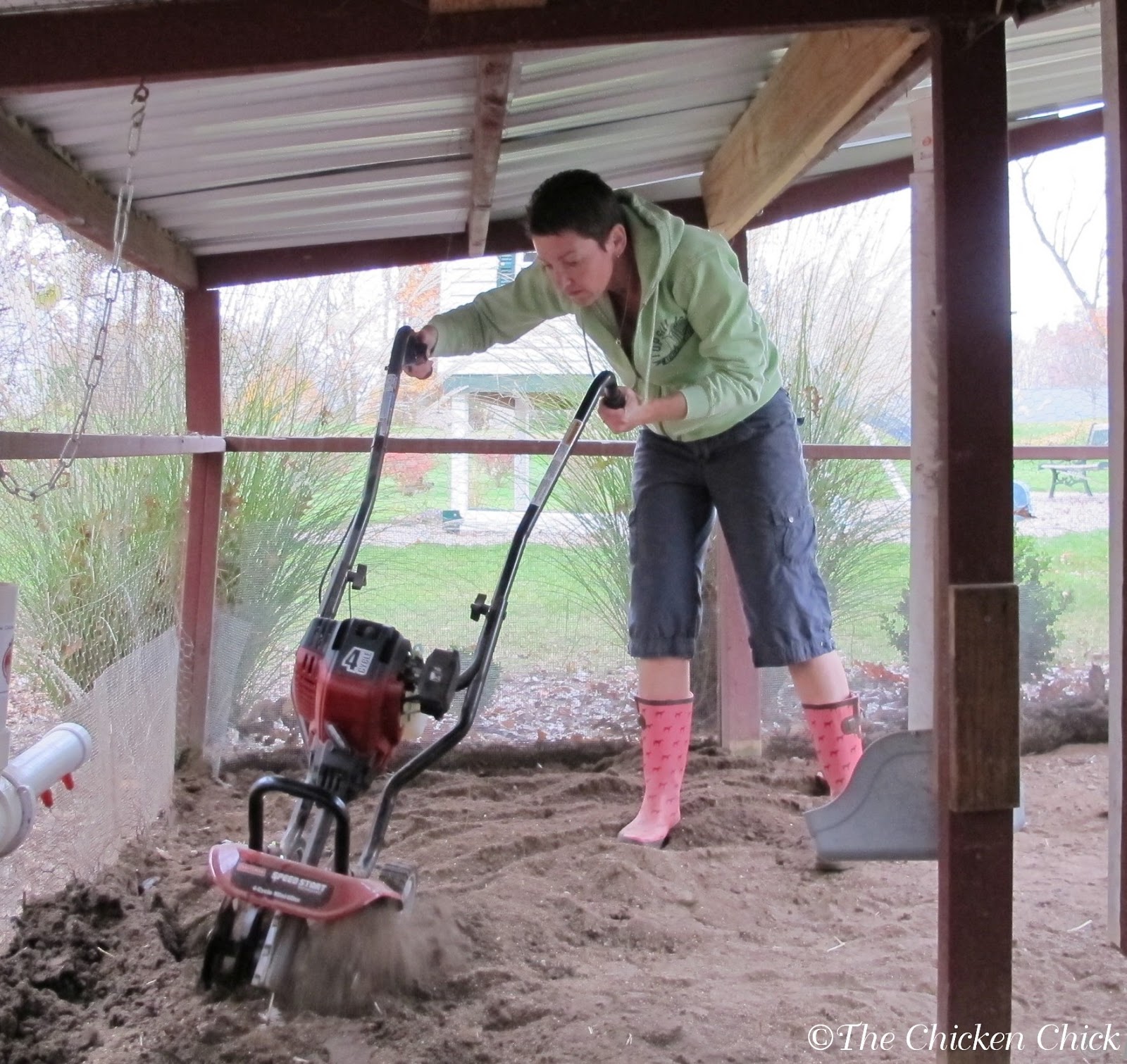 The Chicken Chick®: Chicken Coop Litter: Sand, the Litter ...