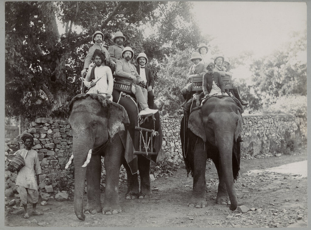 European Group on Indian Elephants - c1890's