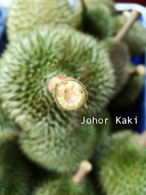 Zhong Cheng Durian Farm in Kulai Johor 忠诚榴莲园 