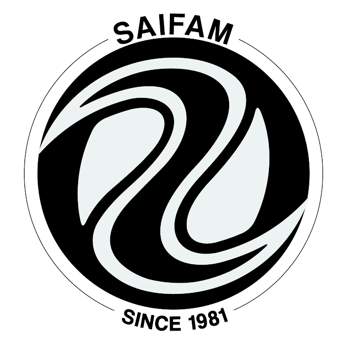The Saifam Group annuncia la nascita di Music Now!