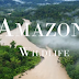 Amazone hoang dã