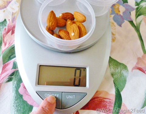 Jan 13 food scale 007