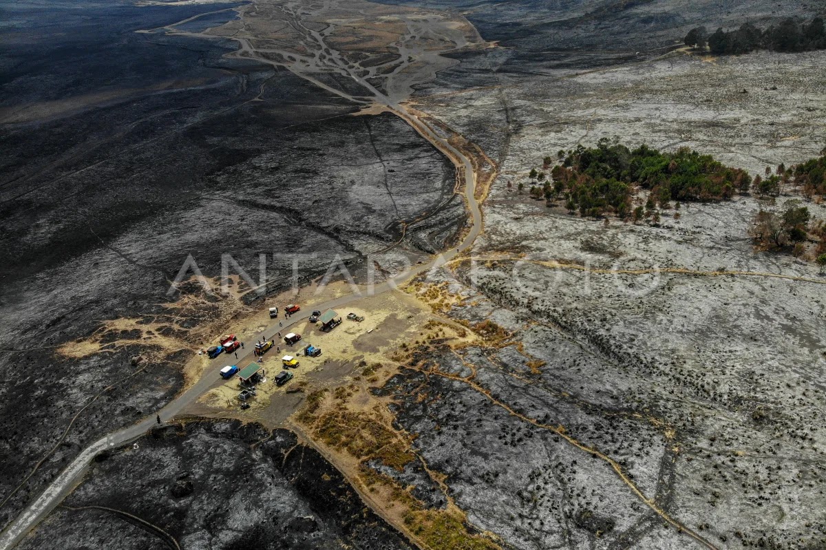 Kebakaran area Watu Gede di Gunung Bromo