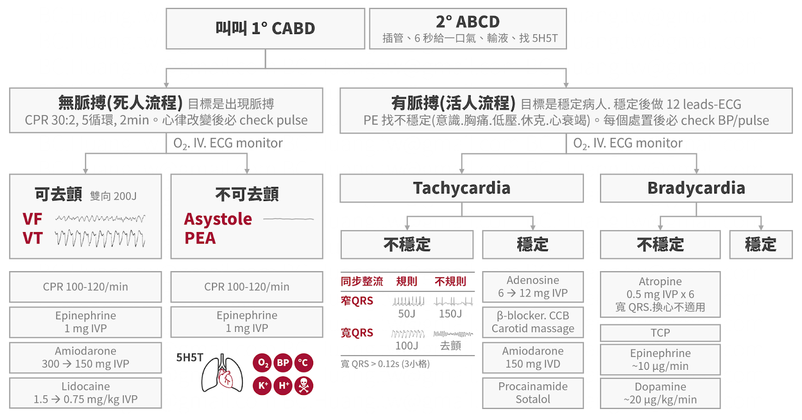 Acls Megacode 術科口試總流程圖 黃柏誠醫師