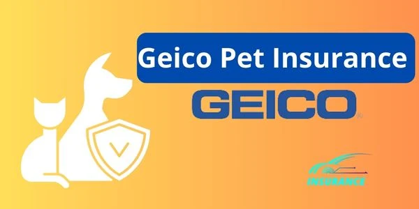Geico Pet Insurance