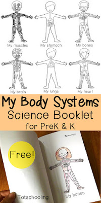 My Body Parts Printable Puzzles Totschooling Toddler Preschool Kindergarten Educational Printables