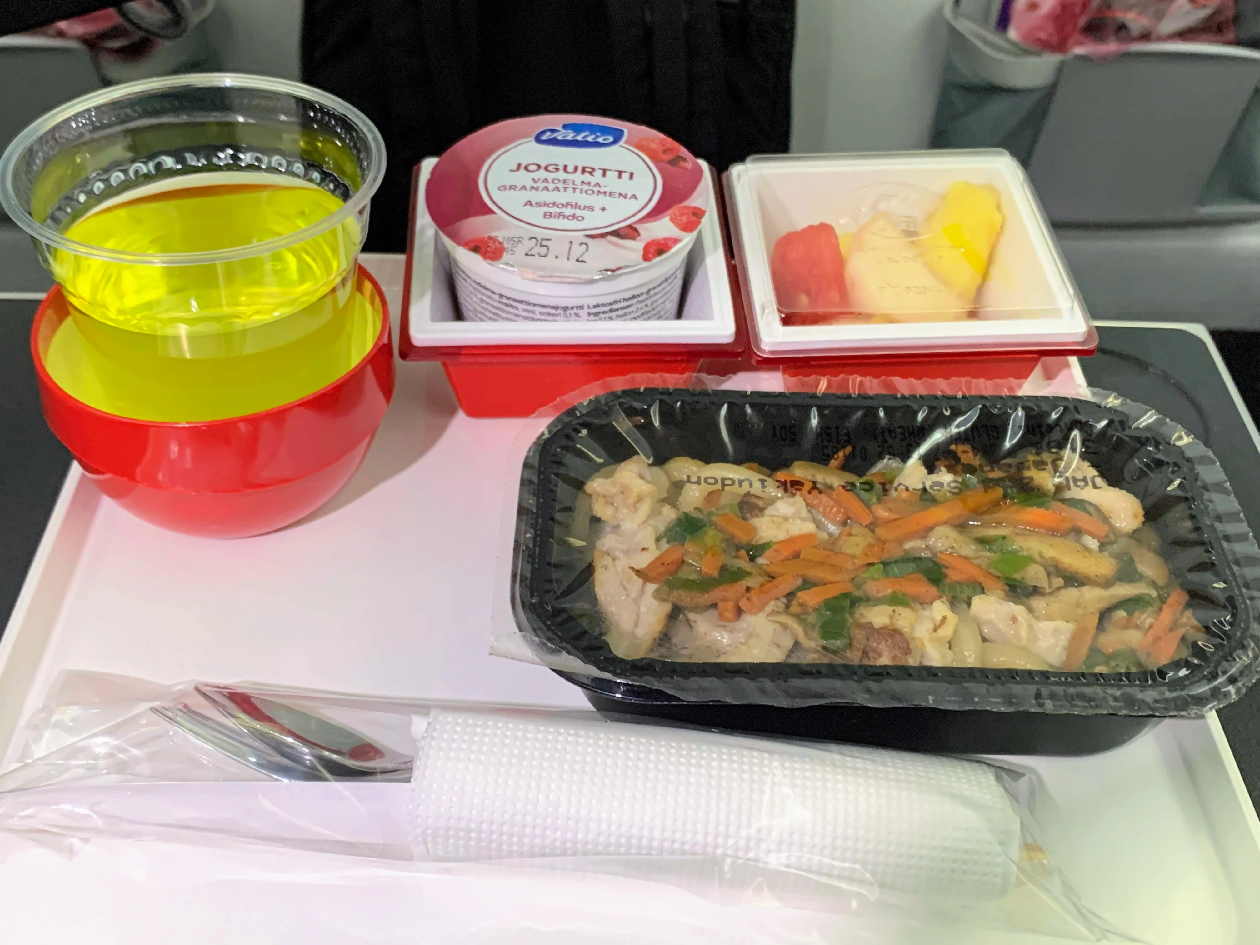 JAL flight meal udon