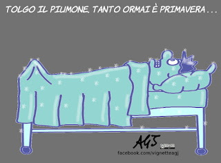 primavera, piumone, lobby, clima, riscaldamento globale, umorismo, vignetta