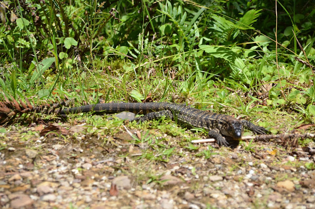 Aparados da Serra - Itaimbezinho