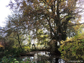 jardin d'automne 2016