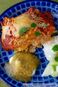 Recipe for a vegetarian enchilada casserole of corn tortillas stuffed with spicy sweet potatoes and onion