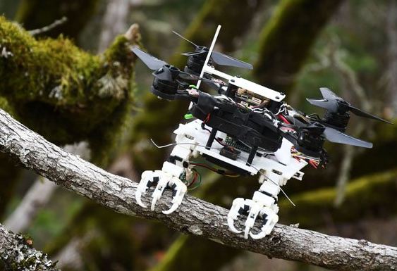 اسٹینفرڈ: سائنسدانوں نے ایک روبوٹ نما شے تیار کی ہے جسے کسی بھی ڈرون پر لگایا جاسکتا ہے۔ اس طرح ڈرون کسی ناہموار جگہ پر اترسکتا ہے، اشیا کو گرفت کرسکتا ہے اور درخت کی ٹہنی کو اپنے پنجے سے گرفت کرکے اس پر بیٹھ سکتا ہے۔