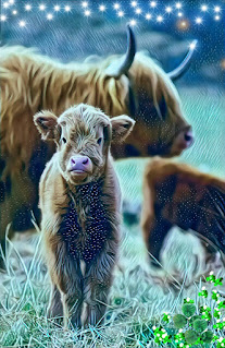 Calf pictures wallpaper HD quality status instagram facebook free download,free,Indian cow and calf images,Cow and calf