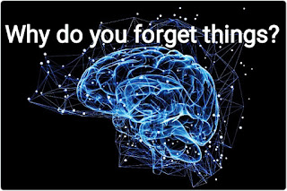 Why do you forget things?