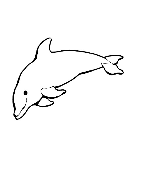 Dolphin Coloring Pages Throughout Dolphin Pictures To Color