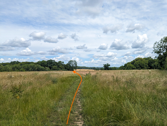 Head NNW across an open wildflower meadow