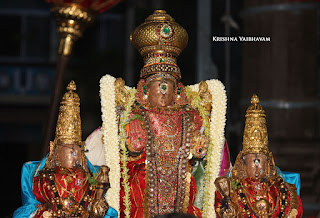 Aani,Suirya PRabhai, Purappadu , Vahanam,Sri Theliya Singar, Yoga Narasimhar,Brahmotsavam ,Purappadu,Video, Divya Prabhandam,Sri Parthasarathy Perumal, Triplicane,Thiruvallikeni,Utsavam,