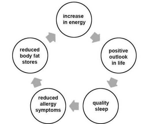 the paleodiet