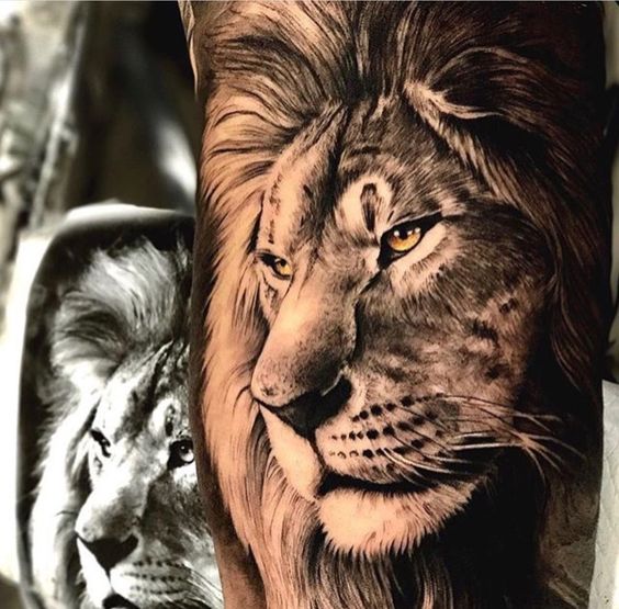 45 lindas tatuagens de leão para inspirar vocês