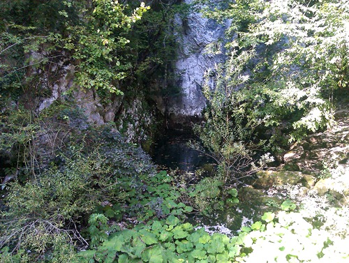 IMAG0289_n
