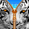 Wild Kitty Zipper Lock Screen app Download