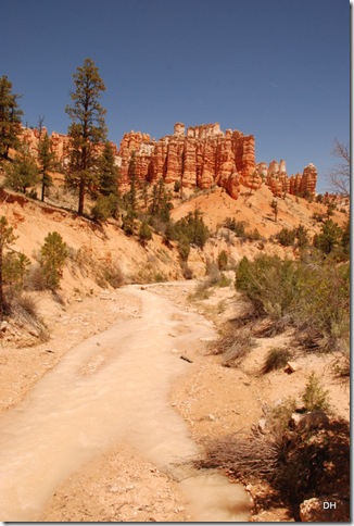 05-26-13 B Mossy Cave Trail Bryce (9)