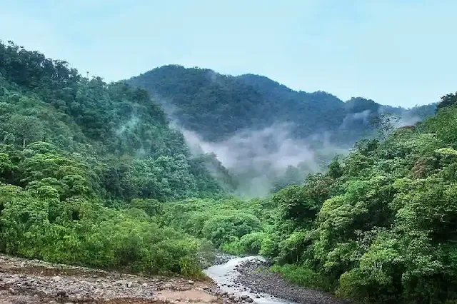 La deforestación genera menos lluvias