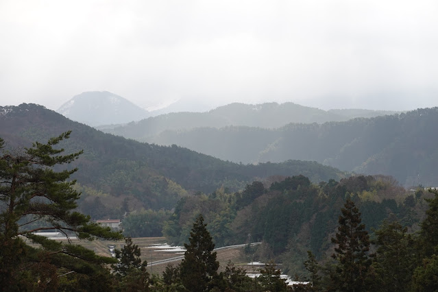 鳥取県米子市淀江町本宮 稲吉本宮線の農道からの眺め 赤松方面