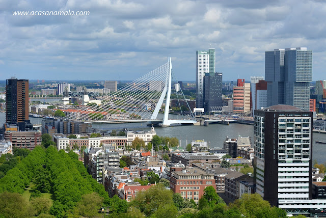 Atrações de Rotterdam