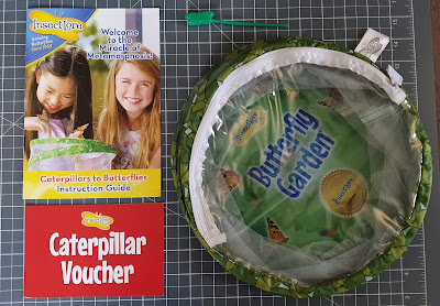 Insect Lore Caterpillars to butterflies home grow kit contents on table