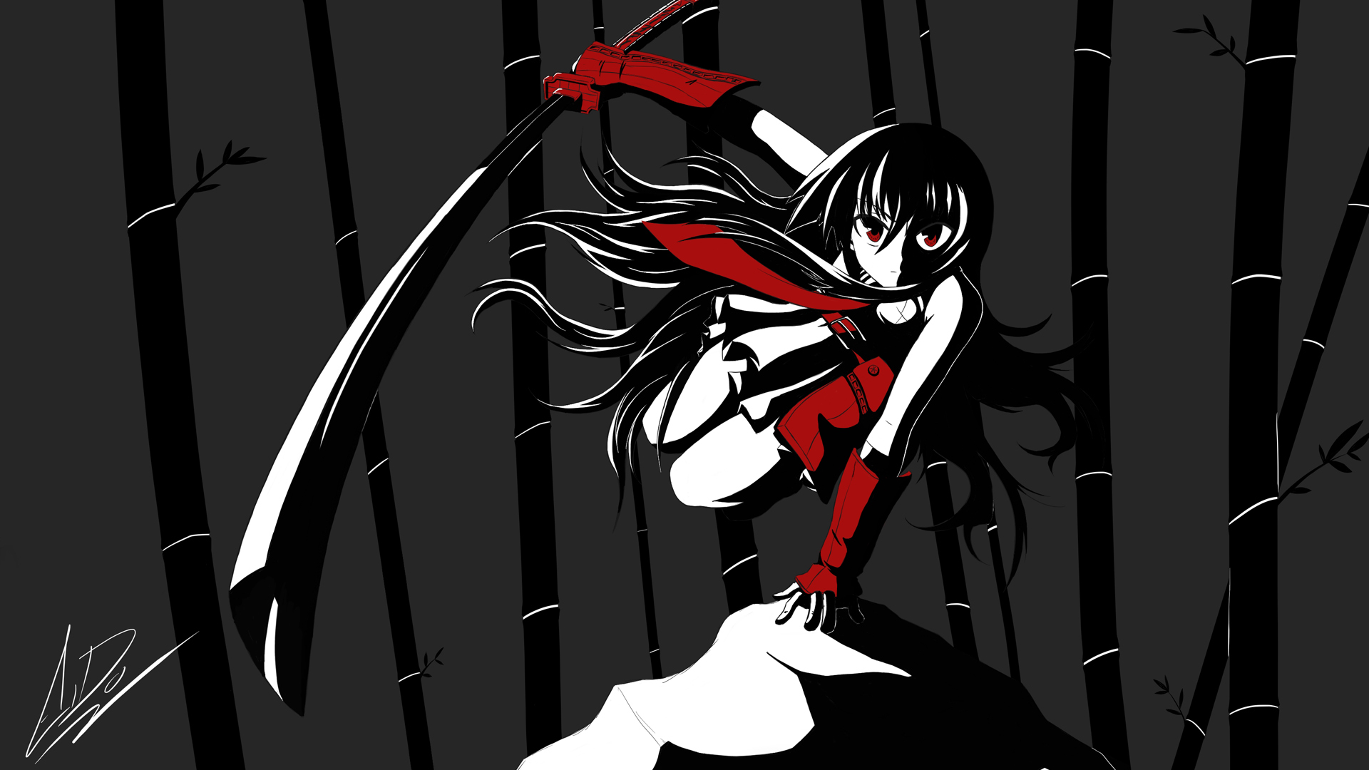 Akame Ga Kill Wallpapers HD