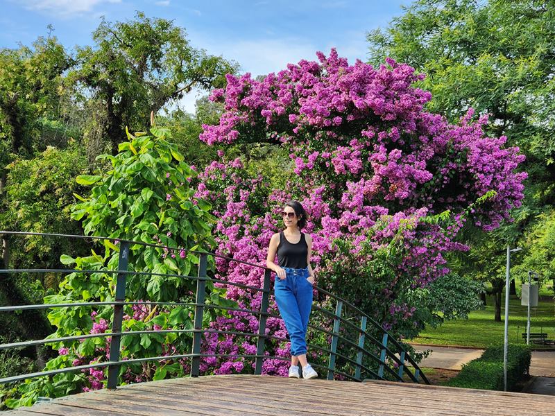 Parque Ibirapuera