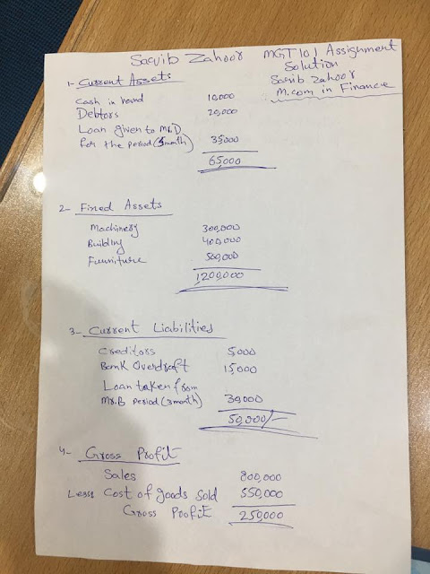 MGT101 Assignment No 1 Solution Idea by saqib