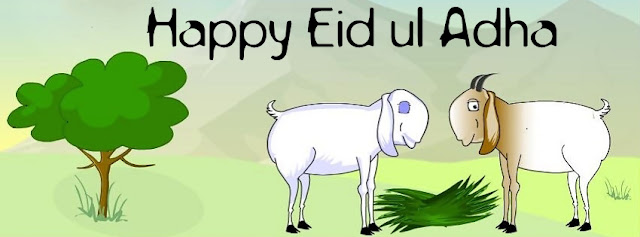 Goat Lovers On Eid Ul Adha