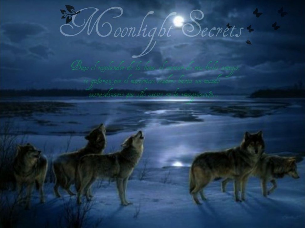 Moonlight Secrets