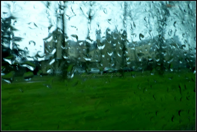 Rainy day in Versailles