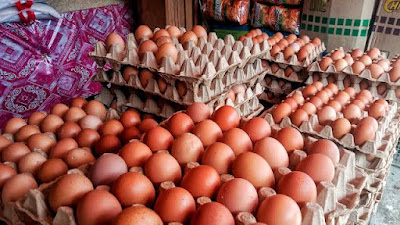 Harga Telur Ayam Kampung Turun, Sementara Beras Alami Kenaikan