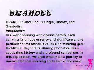 meaning of the name "BRANDEE"