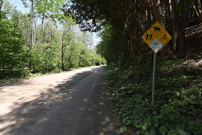 Trans Canada Trail Forks of the Credit Ontario.