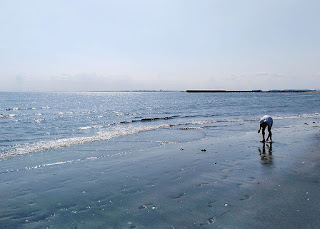 検見川浜の様子。天気も上々、陽光を受けて海もキラキラ光っています。