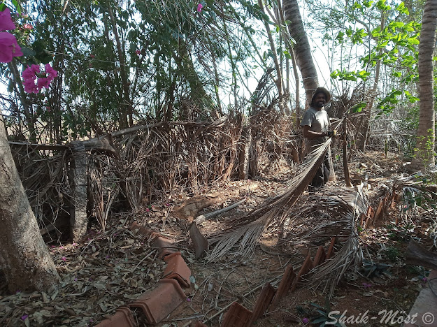 Sam working on the coconut leaf fence